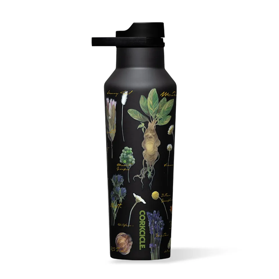 corkcicle-sport-canteen-20-oz-harry-potter-design image 1
