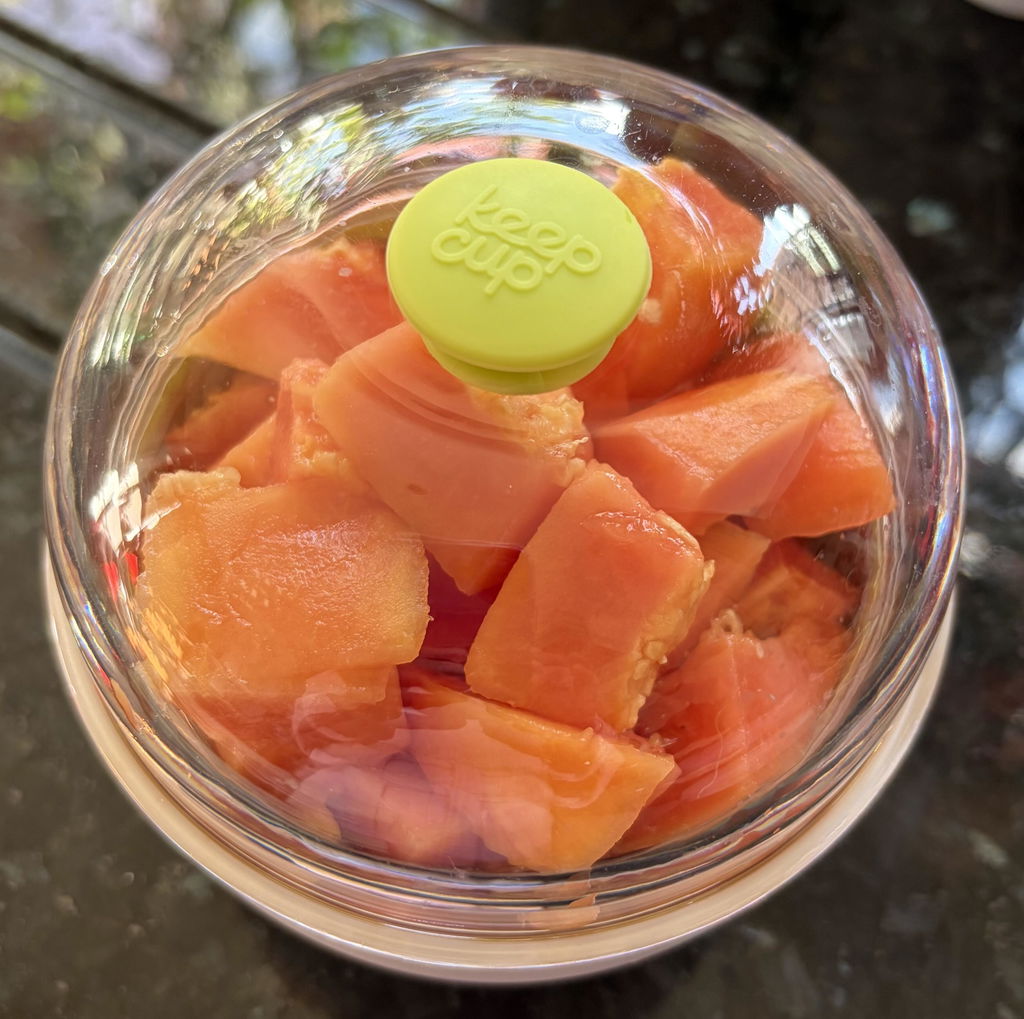 Good bowl, but lid could seal better