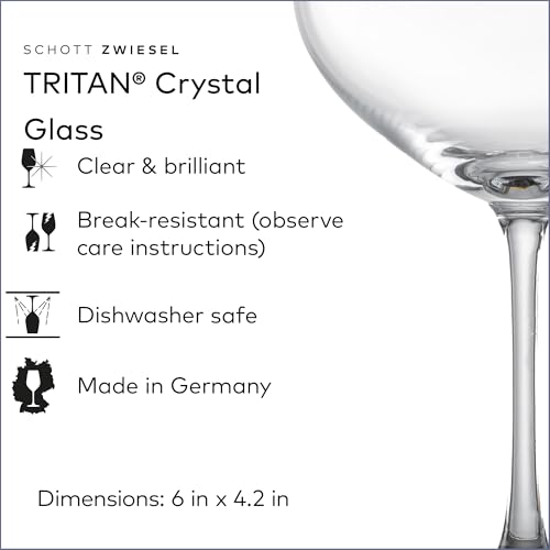 schott-zwiesel-bar-special-champagne-bowl-set-of-6-tritan-crystal-9-5-oz-made-in image 8