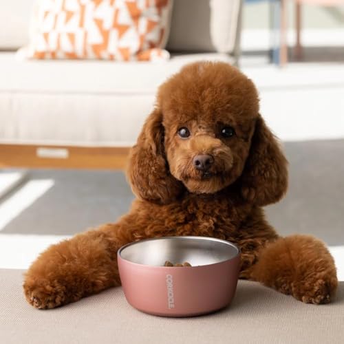 corkcicle-dog-bowl-32-oz-ceramic-sierra-double-walled-stainless-steel-non-slip-d image 8
