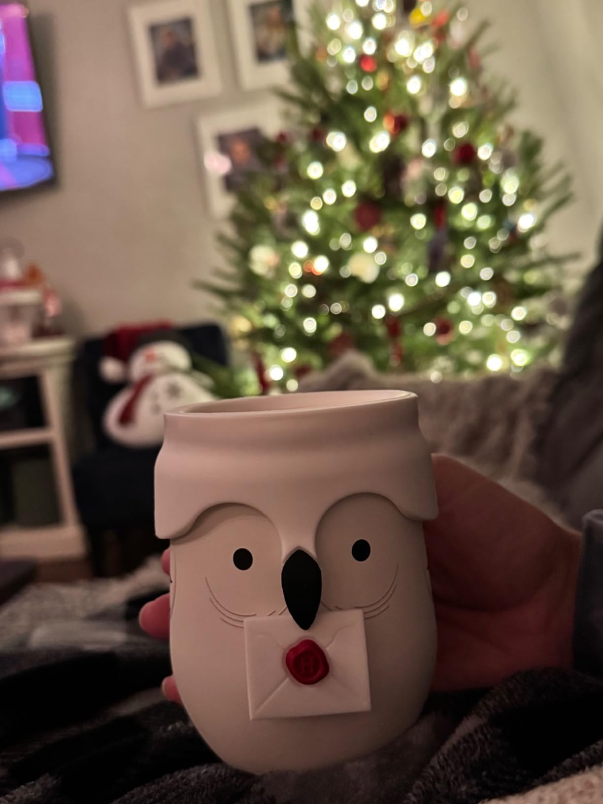Cute, but the design wears off