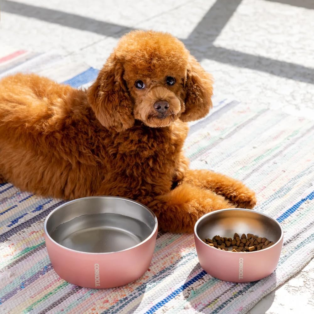 corkcicle-dog-bowl-32-oz-ceramic-sierra-double-walled-stainless-steel-non-slip-d image 5