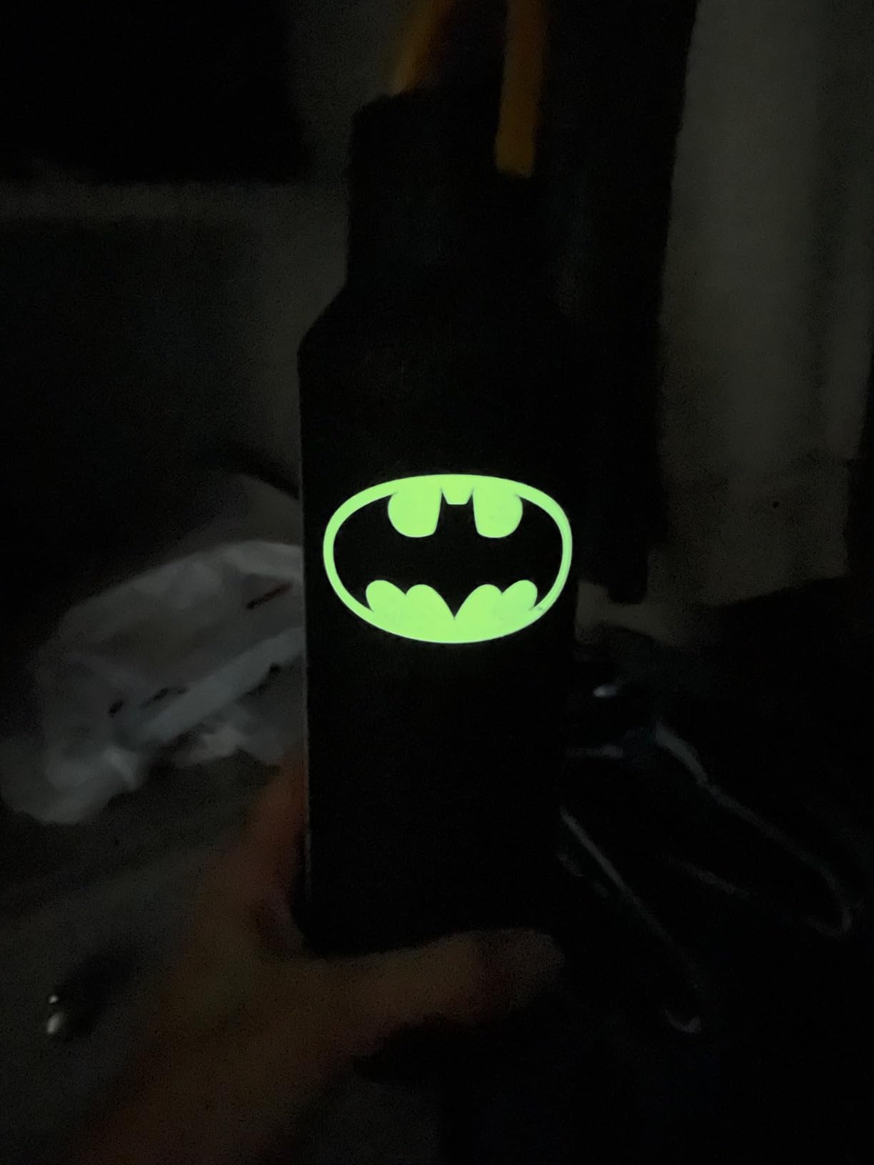 Batman fan's dream!