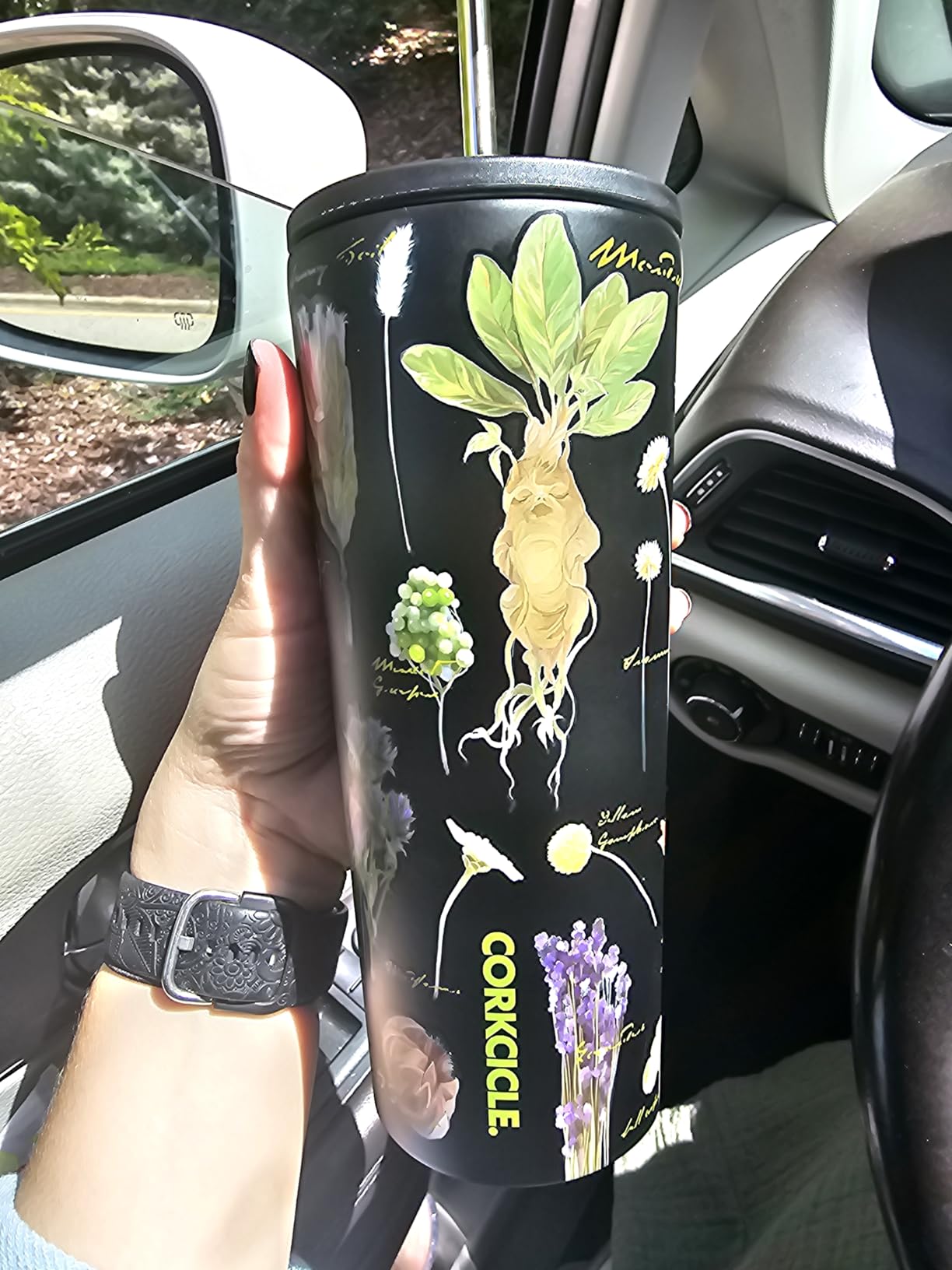 My favorite cup