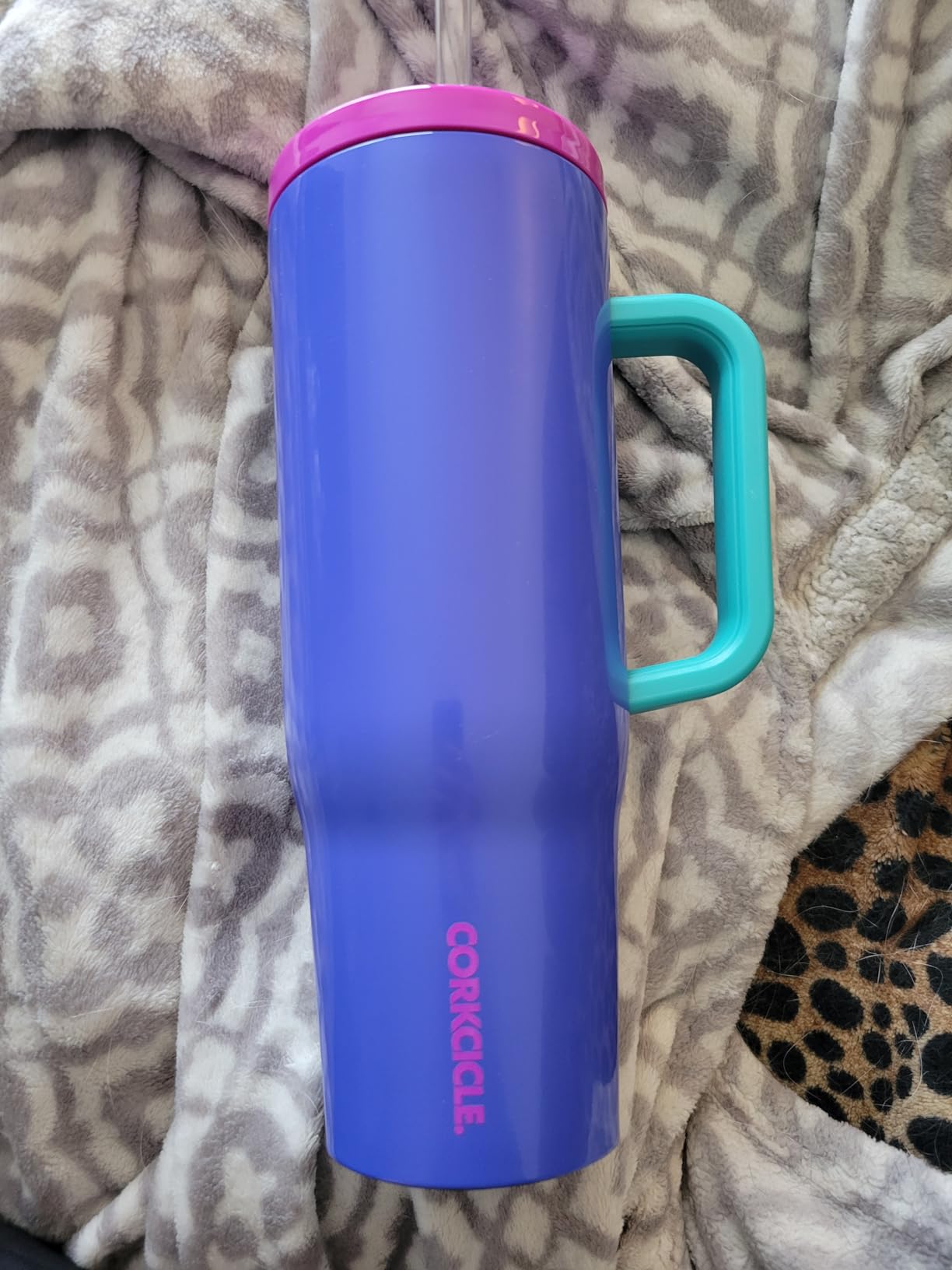 My daily companion