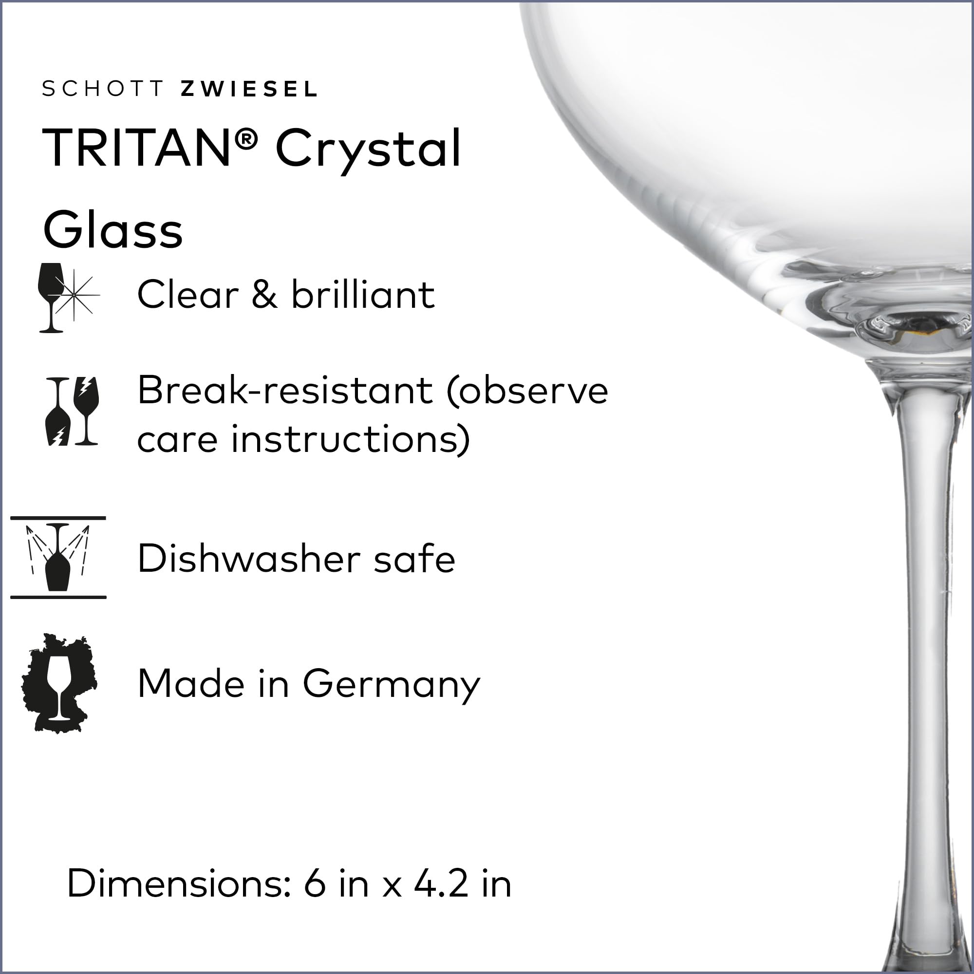 schott-zwiesel-bar-special-champagne-bowl-set-of-6-tritan-crystal-9-5-oz-made-in image 2
