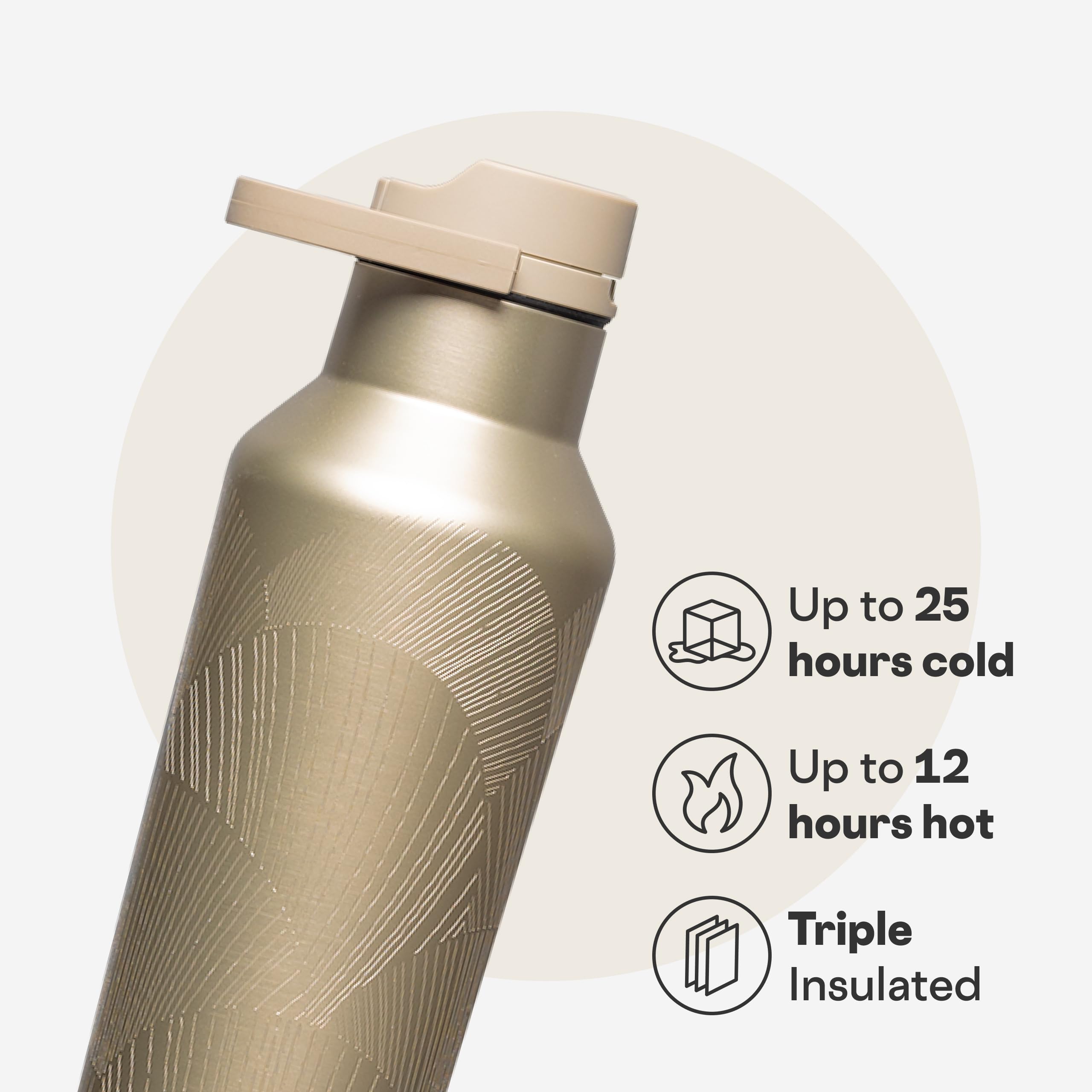 corkcicle-classic-sport-canteen-insulated-water-bottle-20-oz-champagne-dreams image 3